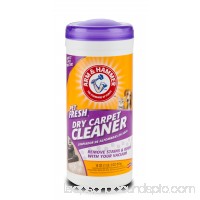 A&H Pet Fresh 18 oz Dry Carpet Cleaner   558150671