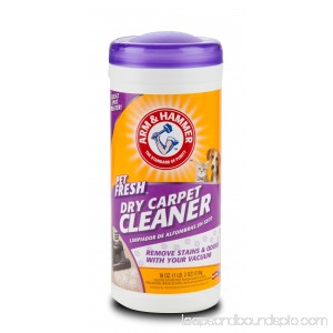 A&H Pet Fresh 18 oz Dry Carpet Cleaner 558150671