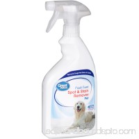 Great Value Pet Spot and Stain Remover   557081909