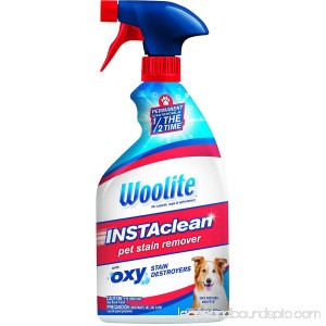Woolite INSTAclean Pet Stain Remover, 22 oz 555725505