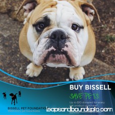 BISSELL Pet Hair Eraser Lift-Off Bagless Upright Vacuum Cleaner, 2087 564155891