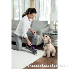 BISSELL Pet Stain Eraser Advanced Cordless Portable Spot and Carpet Cleaner, 2054 564145287