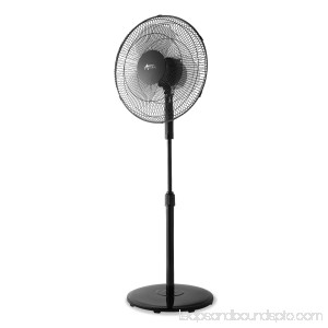 Alera 16 3-Speed Oscillating Pedestal Stand Fan, Metal, Plastic, Black -ALEFANP16B 570545267