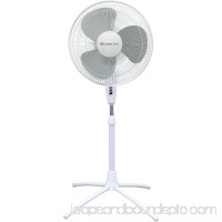Comfort Zone 18" Pedestal Oscillating Fan, White   551069489
