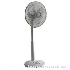 Sunpentown Oscillating Standing Fan, 14, Grey 554252941