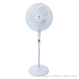 Wp16 3Spd Osc Stan Fan